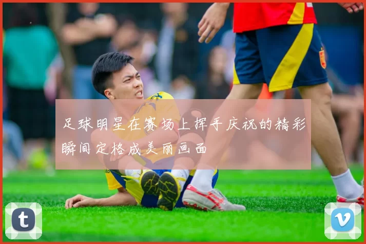 足球明星在赛场上挥手庆祝的精彩瞬间定格成美丽画面