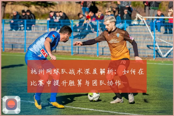 杭州网球队战术深度解析：如何在比赛中提升胜算与团队协作