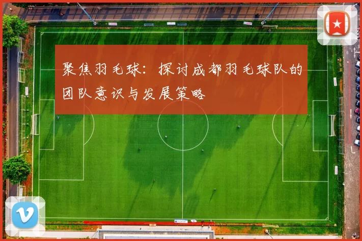 聚焦羽毛球：探讨成都羽毛球队的团队意识与发展策略