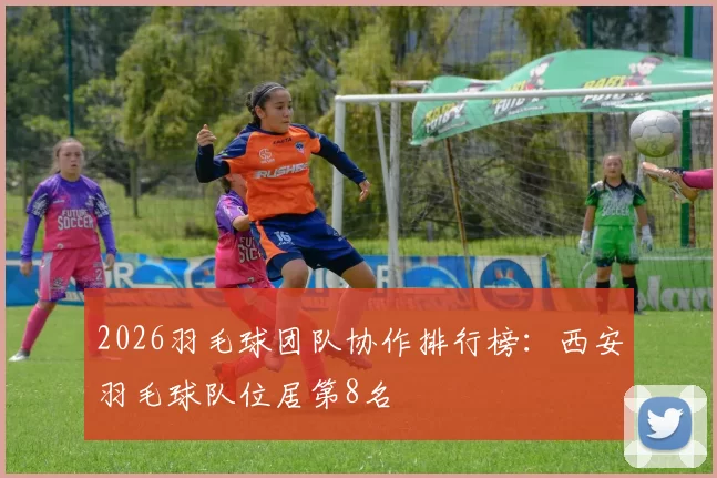2026羽毛球团队协作排行榜：西安羽毛球队位居第8名